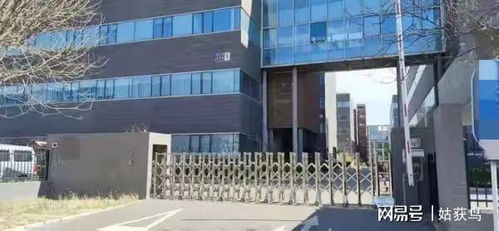 北京市通州區(qū)有一座大型工廠拍賣(mài),被人以3373萬(wàn)元的價(jià)格拿下了